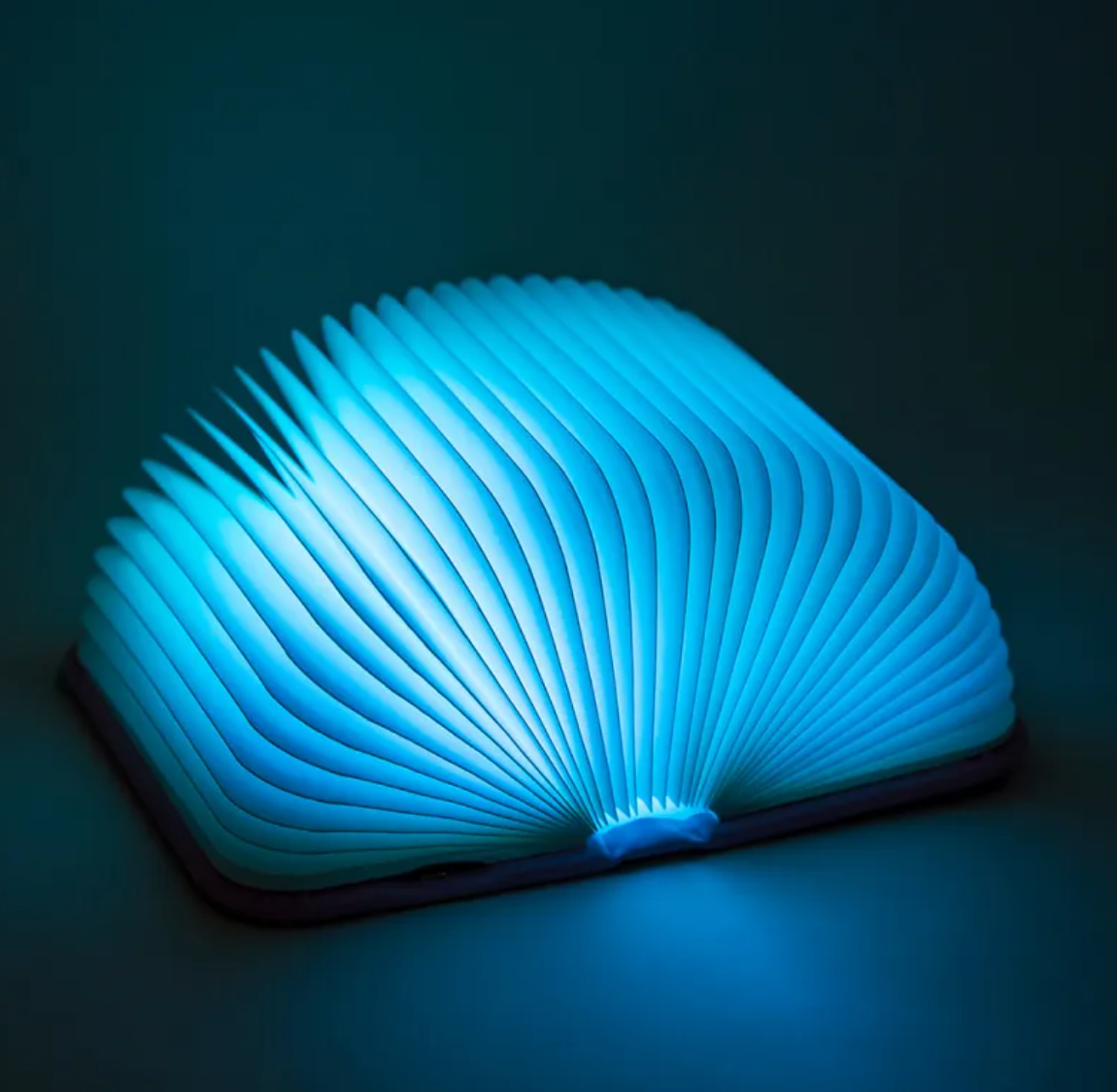Portable Folding Book Light | Compact Reading Lamp